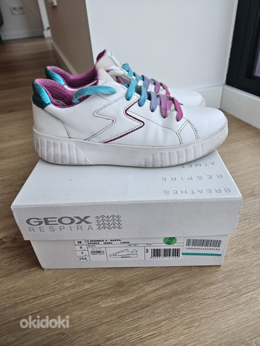 Geox ketsid, suurus 35