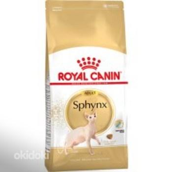 10% allahindlust tõugidieetidele kassidele Royal Canin (foto #4)