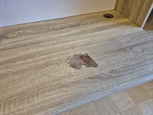 Laste kirjutuslaud riiuliga (3 foto / 3)