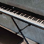 Digitaalne klaver DP Beginner 88 klahvid (foto #1)