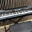 Цифровое сценическое фортепиано DP Advance, 88 клавиш Hammer (фото #1)