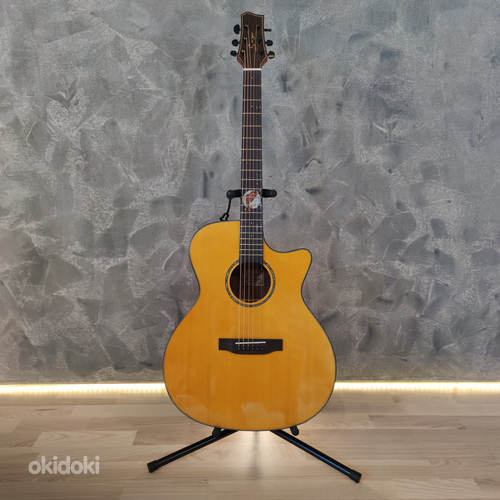 Professionaalne akustiline kitarr /Проф. акустическая гитара (фото #1)