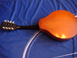 Balalaikas Mandoliin Gusli (4 foto / 5)