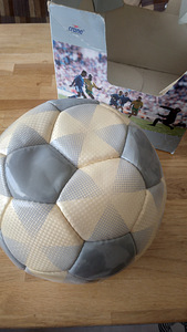 Jalgpall Crane Sports (3 foto / 9)