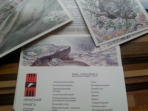 Набор открыток (3 фото из 3)