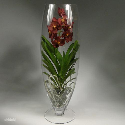 Ваза для орхидеи или декоративной инсталляции (фото #1)