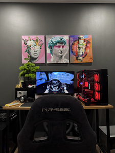 Logitech G29 + Playseat Evolution (2 фото из 5)