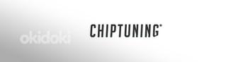 Chip tuning чип тюнинг EGR DPF егр сажевый (фото #1)