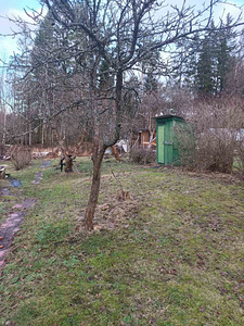 Продаётся дача . (8 фото из 12)