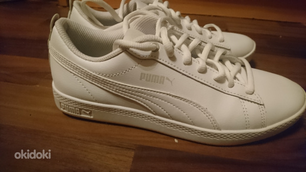Puma 38