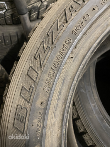255 50 r19