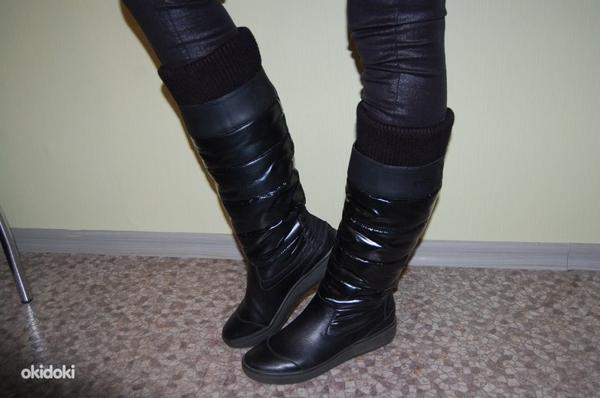 Geox кожаные сапоги (фото #1)