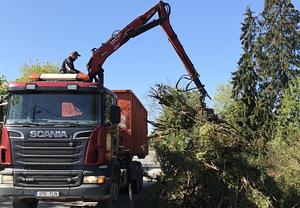 Multilift kraanaga / Puidujäätmete äravedu / Prügi äravedu (3 foto / 4)