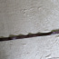 Женский ремень, на стройную фигуру (фото #2)