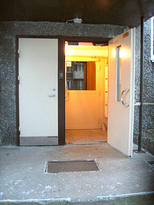 Metalluksed (9 foto / 10)