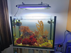 160L морской аквариум