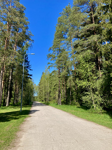 Virmalise tn 9, Oru, Kohtla-Järve, Ida-Virumaa (13 foto / 13)