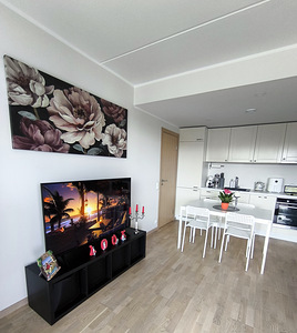 Liikuri tn 5b, Lasnamäe, Tallinn, Harjumaa (9 foto / 28)