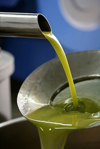 Итальянское свежее оливковое масло холодного отжима 2022