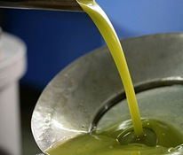 Итальянское свежее оливковое масло холодного отжима 2022