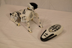 Kaugjuhitav robotkoer