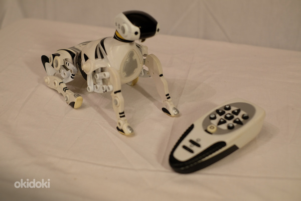 Kaugjuhitav robotkoer