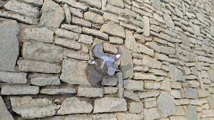 Polygonal bull head (4 foto / 6)