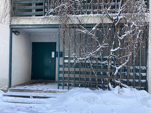 Korter vaatega metsale – rahulikuks ja tervislikuks eluks. (21 foto / 26)