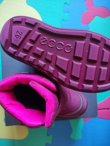 Ecco 26 (3 foto / 3)
