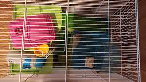 Puur (1 foto / 2)