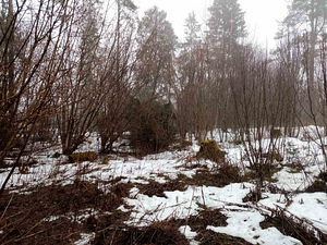 Metsataguse tn 13, Aespa, Kohila vald, Raplamaa (11 foto / 17)