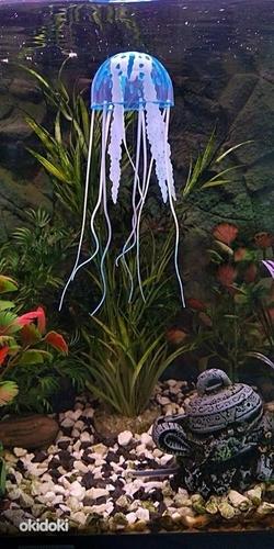 Akvaarium: kunstilised silikoonist erksad meduusid (foto #1)