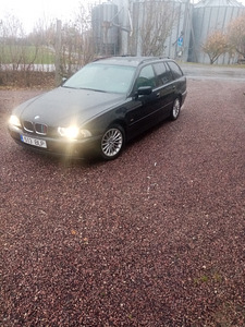 M; BMW E39 525 120 kw 2003 (1 foto / 11)