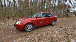 Toyota Corolla (10 фото из 14)