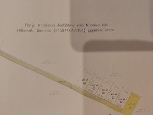 Üürile anda maad 1137m2 (3 foto / 13)