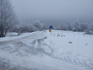 Üürile anda maad 1137m2 (11 foto / 13)