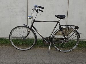 Велосипед Gazelle Sport Solide (2 фото из 3)