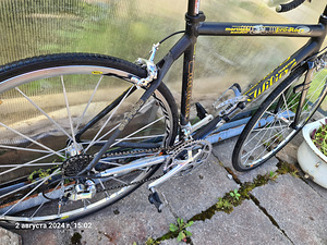 Müün maantejalgrattas Wilier Trestina (2 foto / 3)