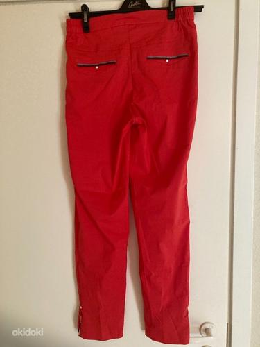 Uued punased püksid nr 42 (foto #2)