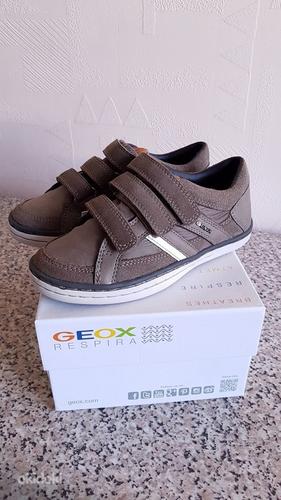 Новые в/о кожаные ботинки Geox, размер 29 - 18,2см (фото #1)