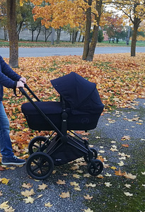 Cybex Priam vanker ja Cybex Cloud Q Plus turvatool (3 foto / 9)