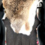 Дизайнерский жилет в винтажном стиле мех кролика, 38(M-L) (фото #4)