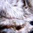 Шикарный воротник из меха полярной лисы-песца (фото #4)