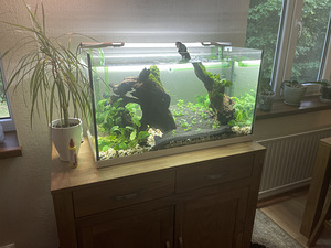 Akvaarium EHEIM 125L. Lamp+välispump (2 foto / 10)