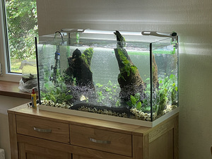 Akvaarium EHEIM 125L. Lamp+välispump (4 foto / 10)