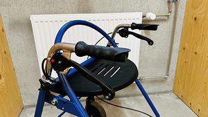 Rulaator (2 foto / 2)