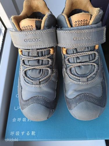 Ботинки Geox (фото #5)