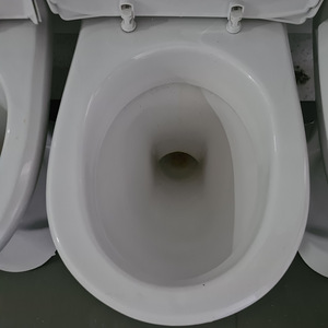 GUSTAVSBERG WC POTT ALT- JA TAGANTJOOKS (5 foto / 8)