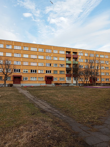 Metsapargi tn, Järve, Kohtla-Järve, Ida-Virumaa (2 foto / 19)