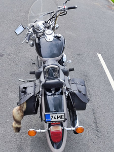 Yamaha XVS 650 Drag Star (5 foto / 10)